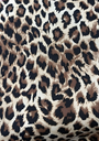11_654459a4-8939-49c8-a1af-89dc92c6da59.png