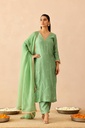 Green &  Beige Peony Suit set